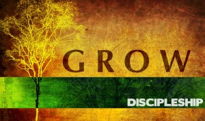 grow-discipleship